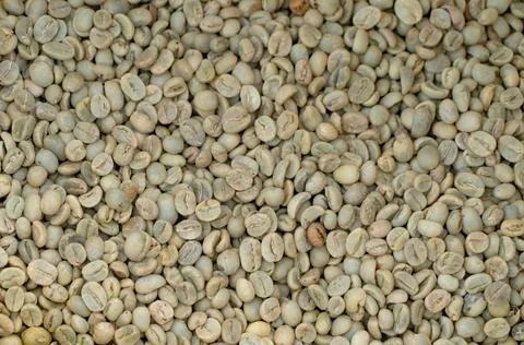 Roasted coffee bean pattern texture background. Raw food material. Stock Photos