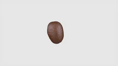 Roasted coffee bean rotates, alpha channel, looped video. Video stock 239849662