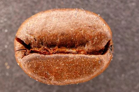 Roasted coffee bean showing macro texture and detail Stock Photos