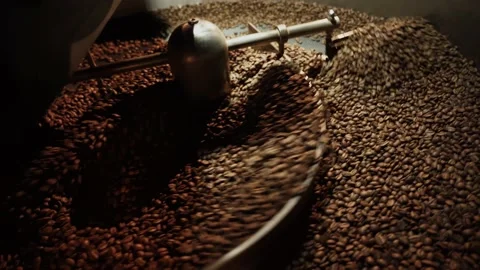 Roasted coffee beans after roasting mixing around on cooling plate of oven.  Stock Footage 229846497
