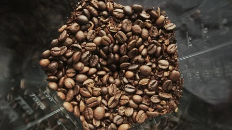Roasted coffee beans are milled in electric grinder, top view Stock Footage 247192275