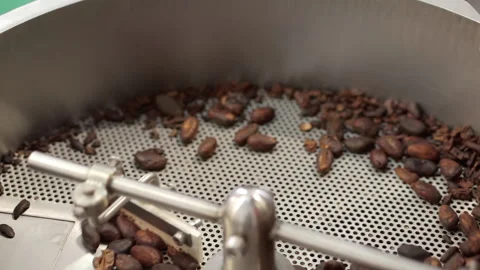 Roasted coffee beans are mixed in a roaster. Stock Footage 165450791