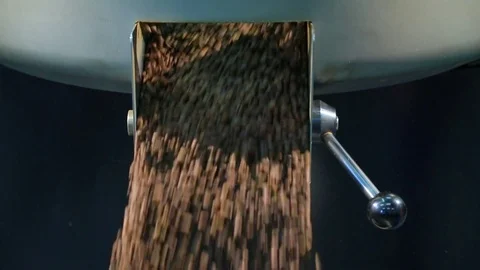 Roasted coffee beans are poured out of roast machine. Slow-motion. Stock Footage 72707501
