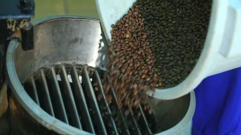 Roasted coffee beans are poured into machine to remove rubbish. Slow-motion. Stock-Footage 72707681
