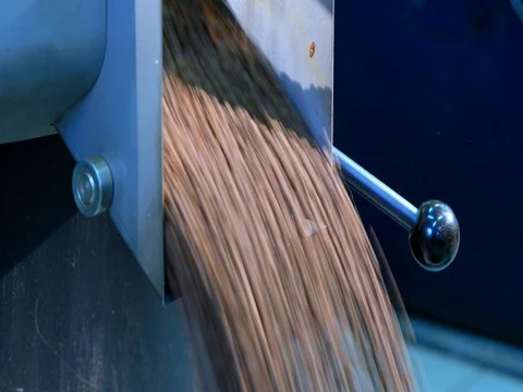 Roasted coffee beans are poured out of roasting machine Stock-Footage 72730800