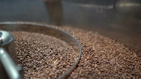 The roasted coffee beans are poured from the oven onto the tray. Stock Footage 181103655