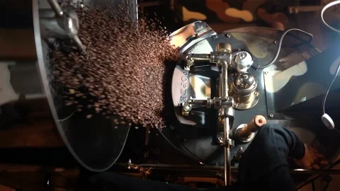 The roasted coffee beans are poured from the oven onto the tray. Stock Footage 181766335