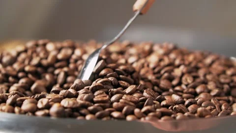 Roasted coffee beans are stirred with a spoon, slow motion. Stock Footage 139631411