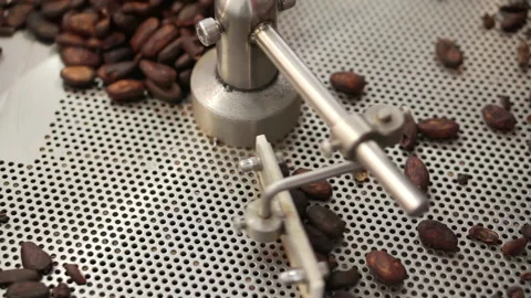 Roasted coffee beans are stirred in a bowl. Stock Footage 166563675