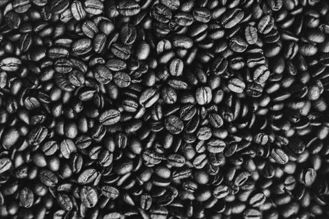 Roasted coffee beans background. Abstract texture pattern. Black and white photo Stock Photos