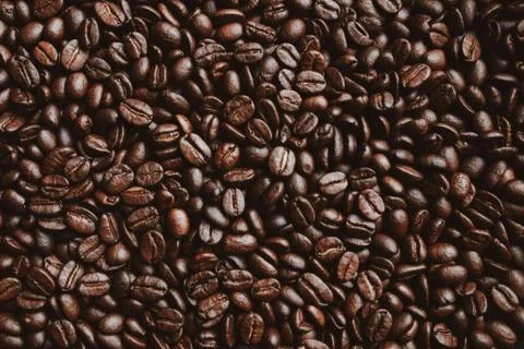Roasted coffee beans background. Abstract texture pattern Stock Photos