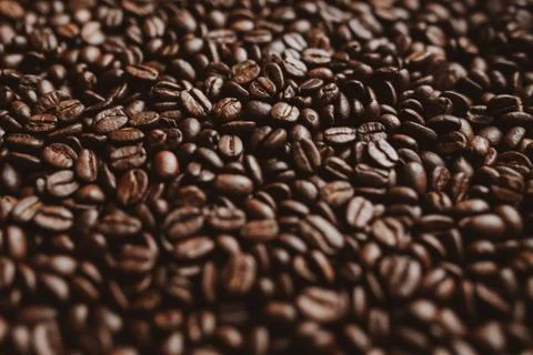Roasted coffee beans background. Abstract texture pattern Stock Photos
