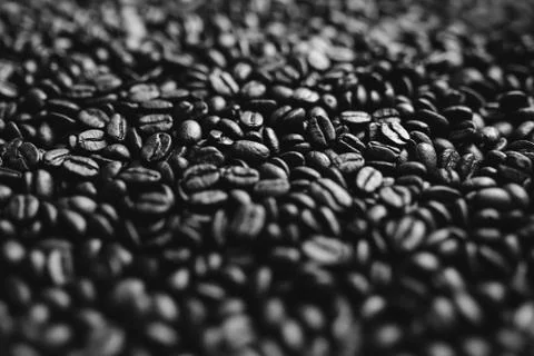 Roasted coffee beans background. Abstract texture pattern. Black and white ph Stock Photos