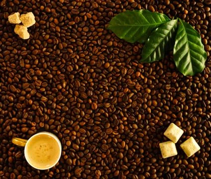 Roasted coffee beans background espresso, coffee leaves and sugar. Stock Photos