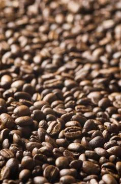 Roasted coffee beans background - full frame detail. Stock Photos