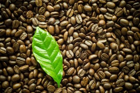 Roasted coffee beans background Stock Photos