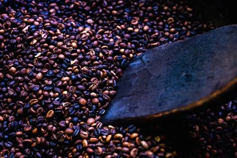 Roasted coffee beans background Фото