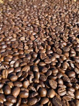 Roasted Coffee Beans background texture. Arabic roasting coffee - ingredient  Stock Photos