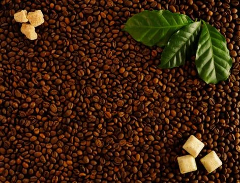 Roasted coffee  beans background with three fresh green coffee leaves. Stock Photos