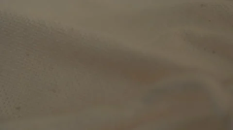 Roasted coffee beans in the bag. Close up. Stock-Footage 43809952