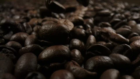 Roasted coffee beans being dropped in front of the camera in slowmotion Stock Footage 99059853