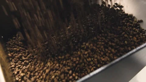 Roasted coffee beans being poured into a cooling tray in a coffee roasting Stock Footage 321762804