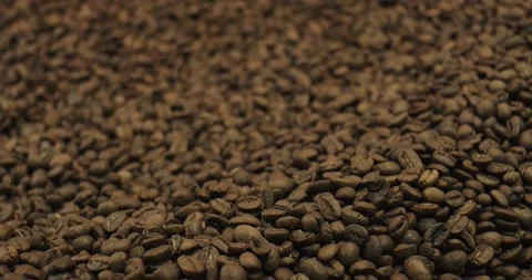 Roasted Coffee Beans Being Stirred Close Up Stock Footage 169050496