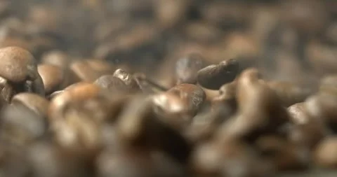 Roasted coffee beans bouncing across wooden table in super slow motion macro Video stock 342590975