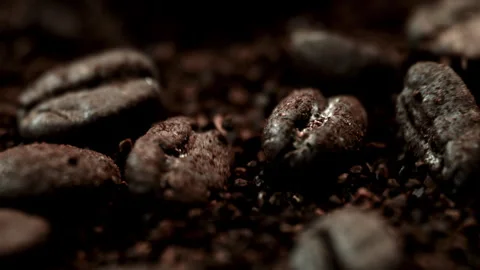 Roasted Coffee Beans Bouncing on Vibrating Grounds in Slow Motion Stock Footage 336463962