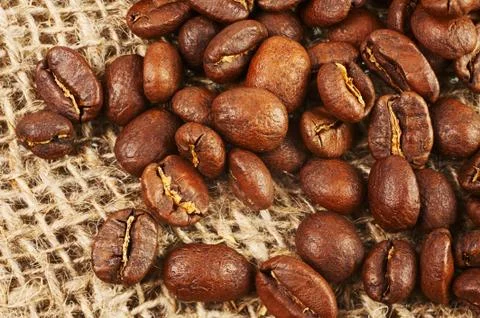 Roasted coffee beans on burlap background. Stock Photos