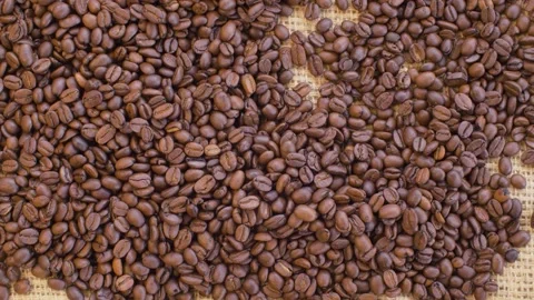 Roasted coffee beans on burlap Stock Footage 137027570
