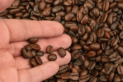 Roasted coffee beans, can be used as a background Stock Photos