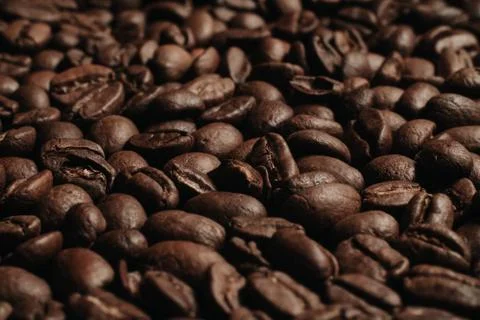 Roasted coffee beans, can be used as background. Coffee production concept fo Stock Photos