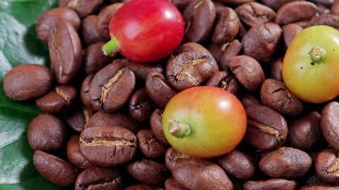 Roasted  coffee beans with cherries coffee beans, rotation. Stock Footage 304406351