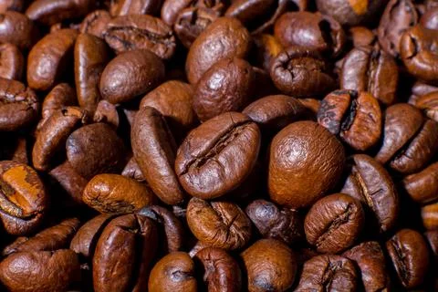 Roasted coffee beans close-up macro photo Stock Photos