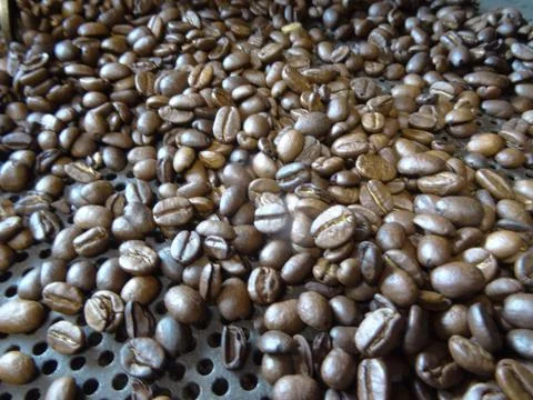 Roasted coffee beans as a close up Stock Photos
