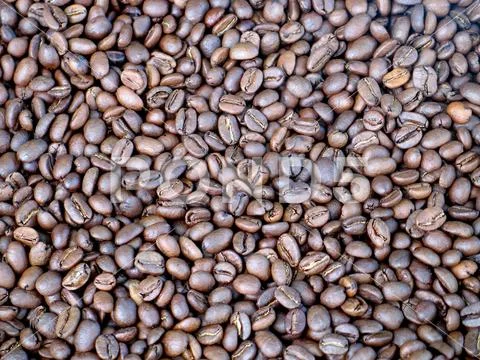 Roasted coffee beans closeup Stock Photos