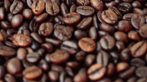 Roasted coffee beans Coffee beans that are clear to focus. Stock Footage 181379472