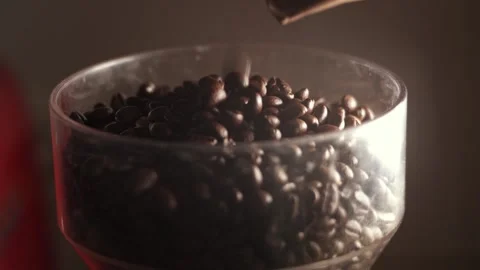 Roasted coffee beans in a coffee grinder close-up Stock Footage 278208102