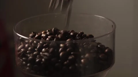 Roasted coffee beans in a coffee grinder close-up Stock Footage 278208132