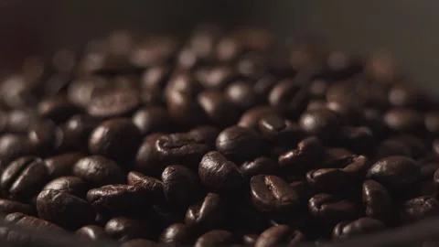 Roasted coffee beans in a coffee grinder close-up Stock Footage 278208138