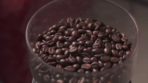 Roasted coffee beans in a coffee grinder close-up Stock Footage 278208180