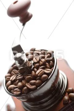 Roasted coffee beans in coffee grinder isolated Stock Photos