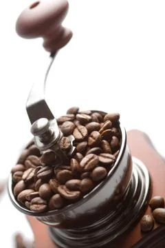 Roasted coffee beans in coffee grinder isolated Foto stock