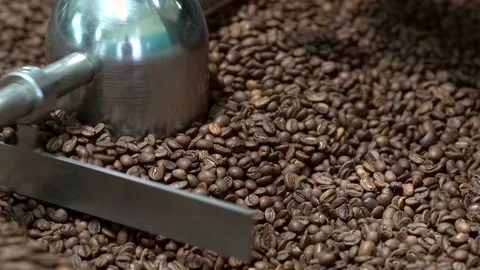 Roasted coffee beans in a coffee roaster Stock Footage 70149655