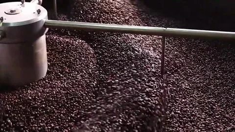 Roasted coffee beans in coffee roaster process Mixing and roasting process - 스톡 동영상 334643713