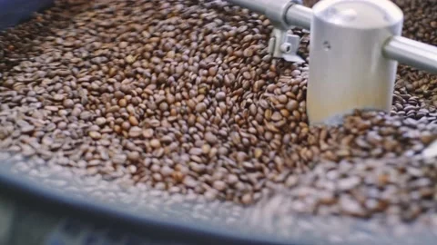 Roasted coffee beans in a cooler mixer. Vídeos de archivo 142280166