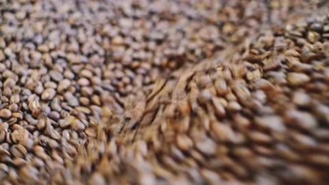 Roasted coffee beans in a cooler mixer closeup. Vídeos de archivo 142280188