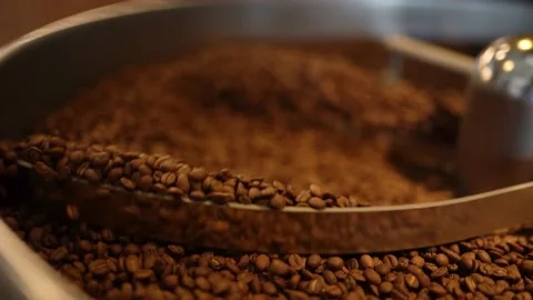 Roasted Coffee Beans At The Cooler Part Of The Roasting Machine Stock Footage 180904065