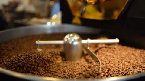 Roasted Coffee Beans At The Cooler Part Of The Roasting Machine Stock Footage 180904278